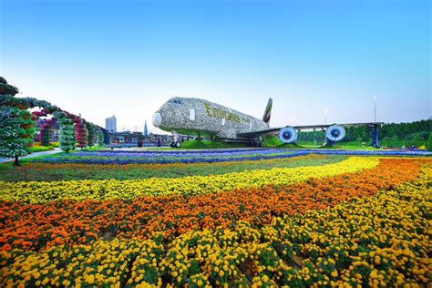 Our Airbus A380 At Dubai Miracle Garden Has Set The Guinness World