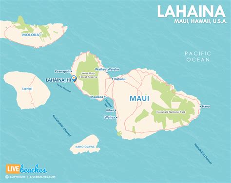 Lahaina Beach, Hawaii - Live Beaches