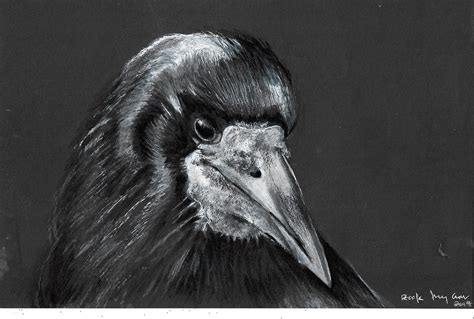 Rook Portrait Bird Art Wildlife Art Goth Art