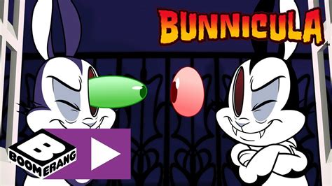 Bunnicula Bunniculas New Twin Boomerang Uk 🇬🇧 Youtube