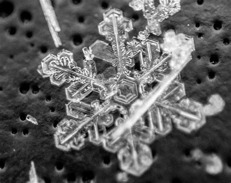 Snowflake Photography on Behance