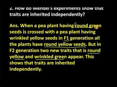 2 How Do Mendels Experiments Show That Traits Are Inherited