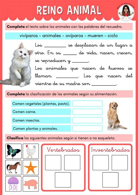 Reino Animal Activity Clasificación De Animales Actividades En Clase