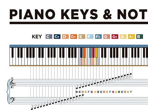 Piano Keys and Notes Poster Chart. Educational Piano - Etsy