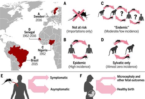 Assessing The Global Threat From Zika Virus Science