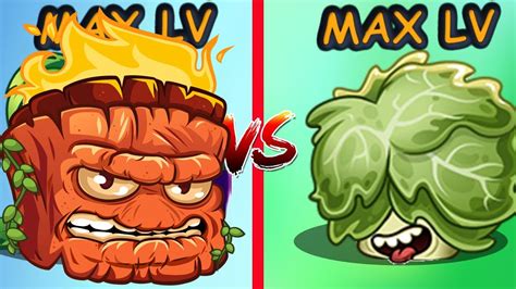 Plants vs Zombies 2 Cây Mới Head Butter Lettuce Võ Sĩ Xà Lách Vs Gốc