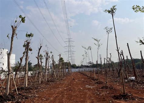 Lewat Pendekatan Humanis Fungsi Hutan Kota Di Kawasan Industri