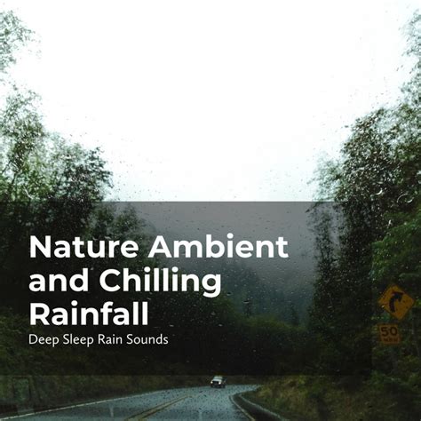 Nature Ambient And Chilling Rainfall Album By Deep Sleep Rain Sounds