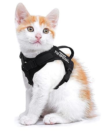 Pet Supplies Forestpaw Cat Harness Escape Proof For Walking