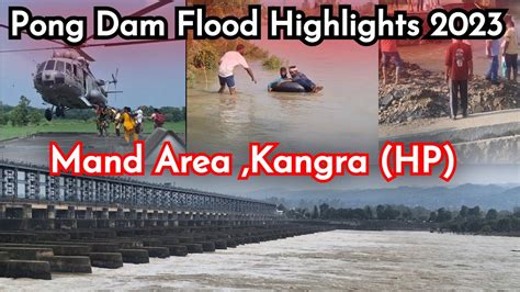 Pong Dam Flood 2023 Highlights Pong Dam Open Gates Vipan