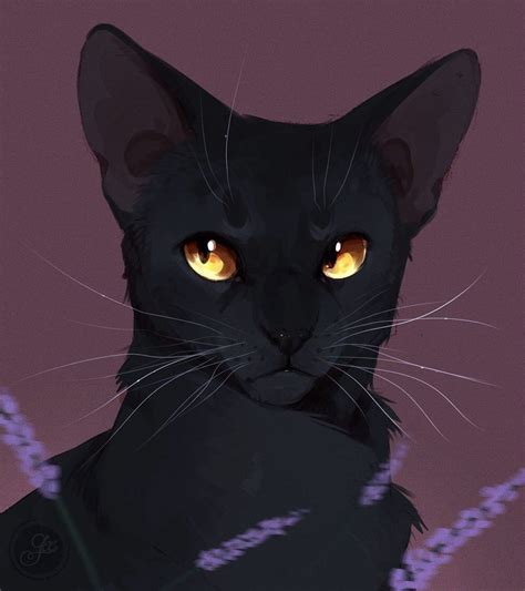 Breezepelt Geely On Instagram In 2022 Warrior Cats Art Warrior Cat