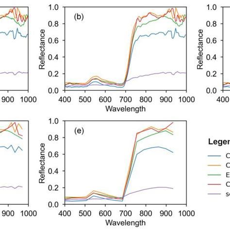 Spectral Reflectance Curves Of Canopy With Different Spectral Thinning