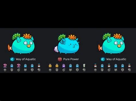 AXIE ORIGIN ANEMONE WITH COTTON TAIL RARE ERA SEASON 6 YouTube