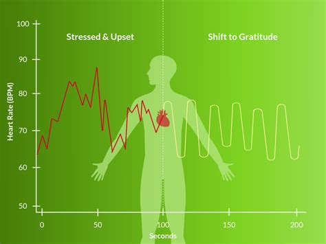 What Is Heart Rate Variability And What Can It Tell Us About Our Health