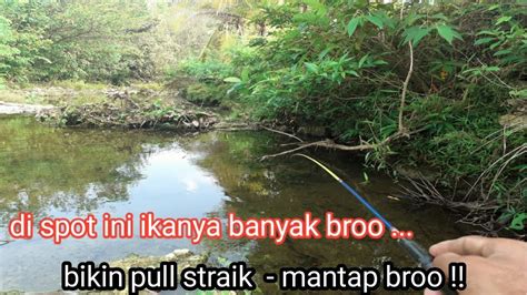 Mancing Ikan Wader Di Spot Sungai Youtube