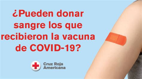 Donar Sangre Te Hace Engordar Mito O Realidad Todo Engorda