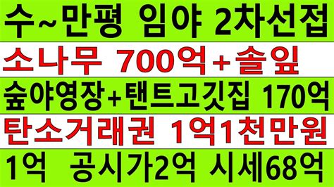 기각 강원 홍천군 내면 율전리 산214 1 임야259023㎡7835446평 숲가치800억 탄소권1억 숲야영장캠핑교회탠트