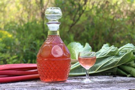 Rhubarb Liqueur Adamant Kitchen