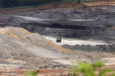 Sejak Sudah Nyawa Melayang Di Lubang Tambang Batubara Kaltim