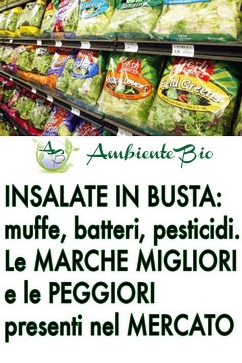 Insalate In Busta Muffe Batteri Pesticidi E Metalli Pesanti Artofit