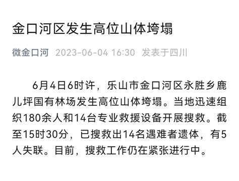 四川乐山金口河发生高位山体塌方已造成14人遇难央广网