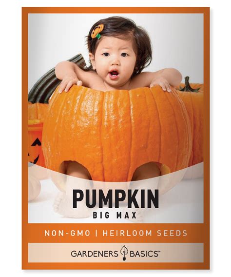 Big Max Pumpkin Seeds for Planting Unleash Your Gardens True Potential ...