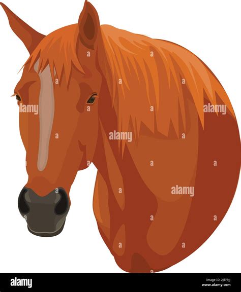 An Illustration Of A Horse Images Stock Photos And Vectors Stock