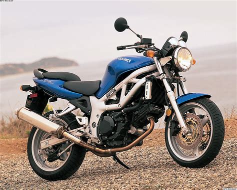 Suzuki SV 650 цена технические характеристики фото Сузуки СВ 650