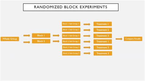 Randomized Block Experiment Youtube