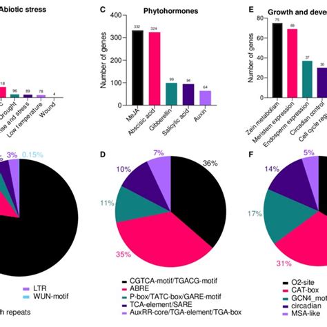 Analysis Of Cis Regulatory Elements In The Ahapx Promoter Regions Download Scientific