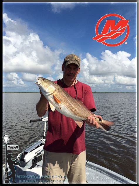 Reeling In Red Fish In New Orleans New Orleans Fishing Report