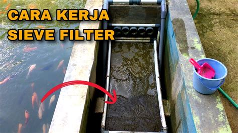 CARA KERJA SIEVE FILTER KOLAM MENAMPUNG SEMUA KOTORAN IKAN SEHINGGA