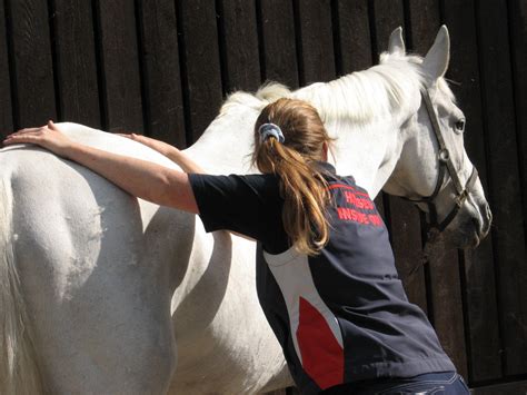 Equine Therapist Cpd Fascia Release Horses Inside Out