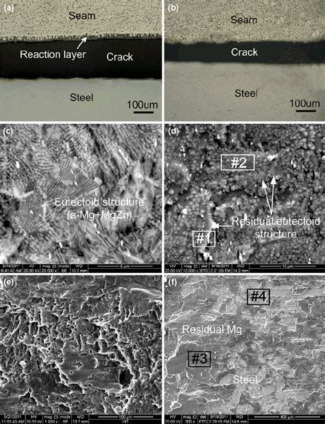 Crack Morphology And Fracture Surface A Crack Orientation Zn Coated Download Scientific