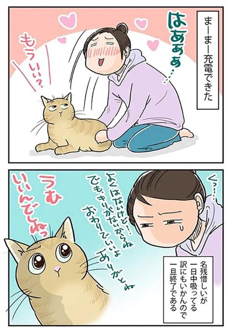 ＜画像247 644＞【ネコ漫画】個性あふれる3匹の猫とのドタバタな日常を描いたコミックエッセイを一気読み！｜ウォーカープラス