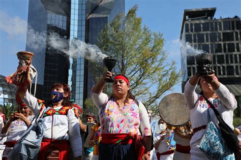 La Jornada Plantan El Ahuehuete En Su Nuevo Hogar De Paseo De La Reforma