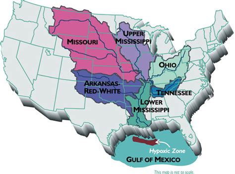 Gulf Dead Zone Smaller Than Forecast | Live Science