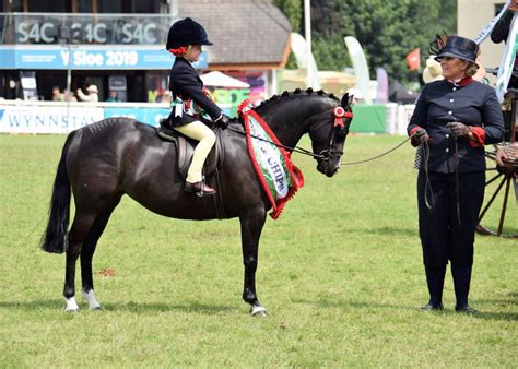 Royal Welsh Show 2019 Wpcs