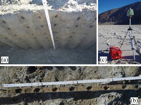 Field Methods A Representative Trench And Sampling Positions Holes