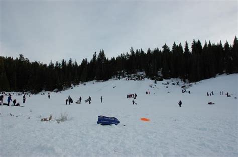 Leland High Sierra Snowplay, Inc - Parks - Strawberry, CA - Yelp