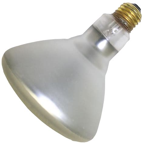 Damar Br Fl Ss A Reflector Flood Light Bulb Walmart