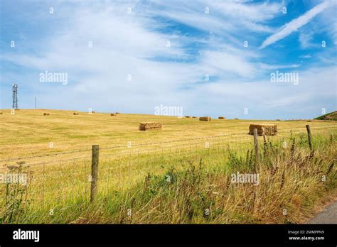 Field Hay Bales Alberta Canada Hi Res Stock Photography And