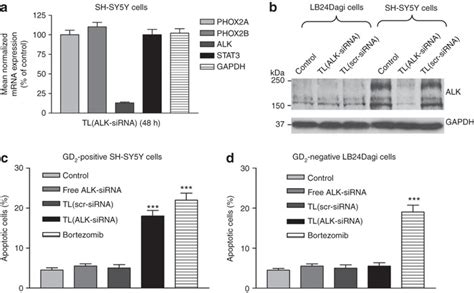 Small Interfering RNA SiRNA Mediated Silencing Of ALK And Apoptosis