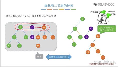 全面！快速！过一遍数据结构之树与二叉树图 知乎