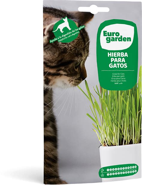 Hierba Para Gatos Eurogarden