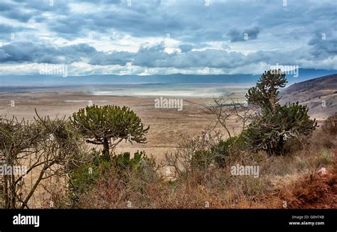 Ngorongoro Krater Nationalpark Stockfotos Und Bilder Kaufen Alamy