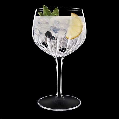 Luigi Bormioli Spanish Gin And Glass 800ml Set Kitchen Warehouse™