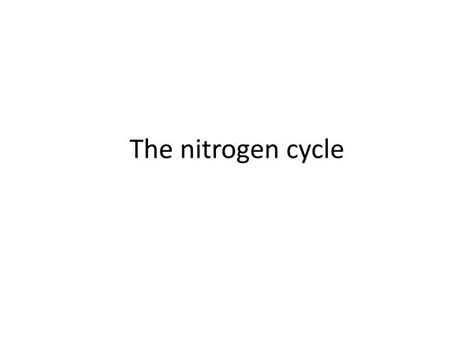 Ppt The Nitrogen Cycle Powerpoint Presentation Free Download Id