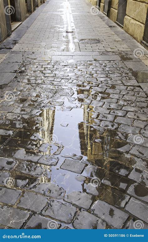 Puddle Of Water On The Street Stock Photo Image Of Cobblestone City