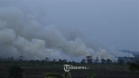 Inilah Proses Terjadinya Hujan Buatan Untuk Atasi Kebakaran Hutan Dan